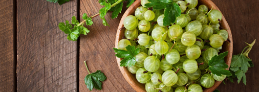 Ягоди агрусу не тільки смачні, а й корисні