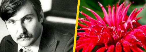 Володимир Івасюк