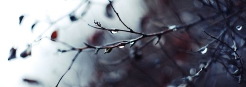 Три дні тепла