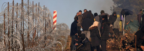 Мигранты на границе Польши и Беларуси