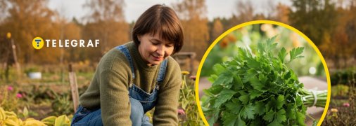 У жовтні на городі ще багато роботи