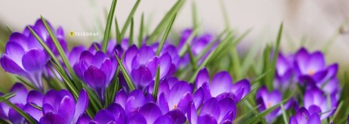 Поздравления с днем весеннего равноденствия