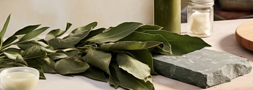 Лавровий лист має багато способів використання у магічних ритуалах