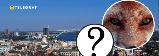 У Києві помітили небезпечного хижака