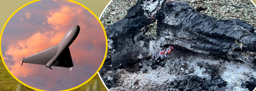 На правому березі Дунаю знайшли залишки російських безпілотників