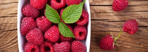 Чим не можна удобрювати малину