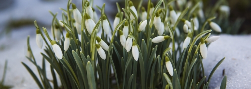 Тепло йде у Дніпро