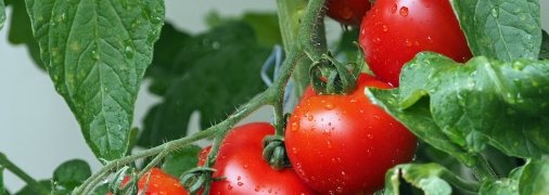 Вас не обманет ни один покупатель