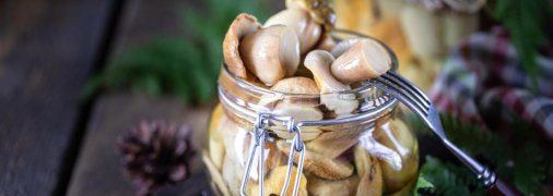 Таких вкусных грибов вы еще не пробовали