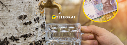 Які штрафи загрожують за незаконне збирання березового соку