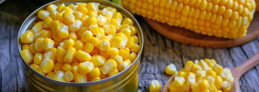 Не всі консерви однаково якісні і смачні (фото створене з допомогою ШІ)