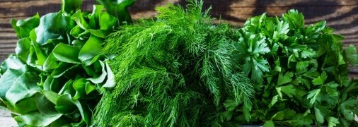 Забудете о походах в магазин надолго