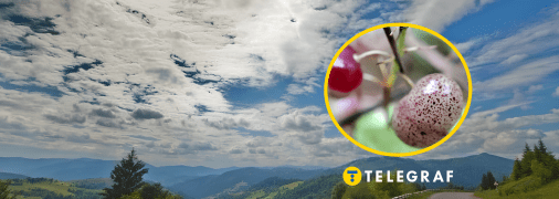 Весновка двулистная