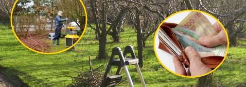 Весняні роботи у садах йдуть повним ходом