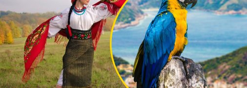 Українка, папуга