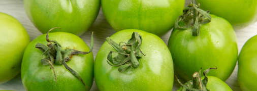 Зелені помідори — дозрівання вдома реальне за короткий термін