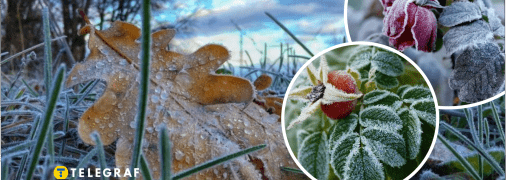 Заморозки в Україні