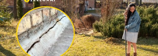 Поврежденный деревом фундамент