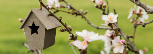 Яке сьогодні свято — Іван Довгий