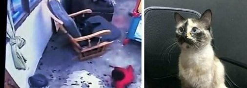 Видео спасения младенца стало безумно популярным в сети