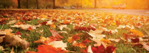 Осінь радує теплом