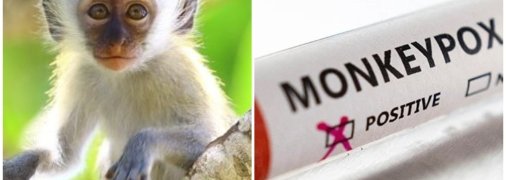 Мавпячу віспу зафіксували в 11 країнах світу