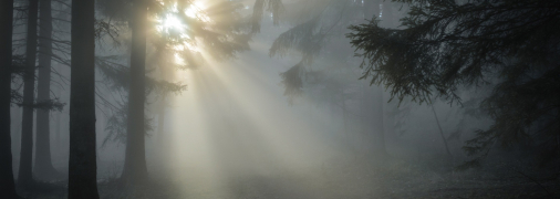 Київ накрив туман (ілюстрація)