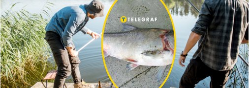 Гігантський товстолоб з Дніпра здивував містян