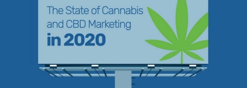 Молодые девушки стали рекордными темпами употреблять марихуану: последние исследования из США