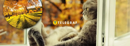 Прогноз на ноябрь 2025 радует