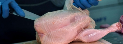 Замачивание курицы в специальном маринаде – первый шаг к очищению мяса.