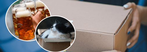 Пиво, кіт та доставка посилки