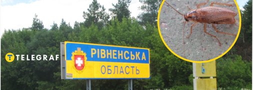 Цікаве село розташоване на Рівненщині