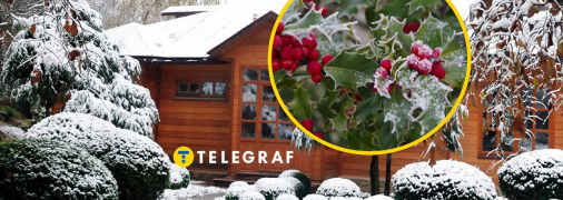 Ядовитые растения в Украине