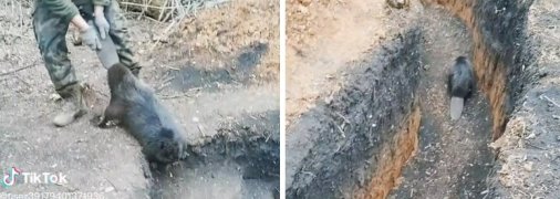 Кадри з відео