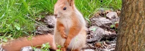 Дожди с грозами принесут похолодание: актуальный прогноз на 28 мая