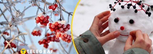 Україну охопить сніг та заморозки