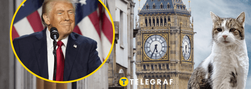 Дональд Трамп, кот Ларри