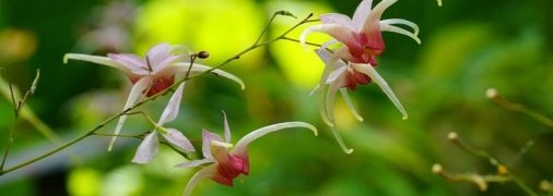 Какие завтра праздники: традиции и приметы на 21 июня