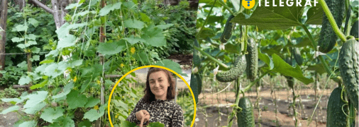 Женщина утверждает, что урожаи улучшились