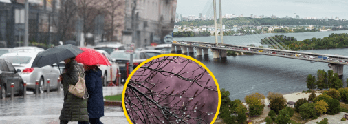 Киевлянам следует не забывать зонты дома
