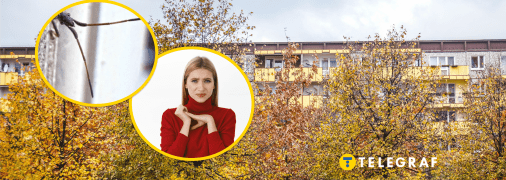 Восени комахи шукають зимівлю в наших домах