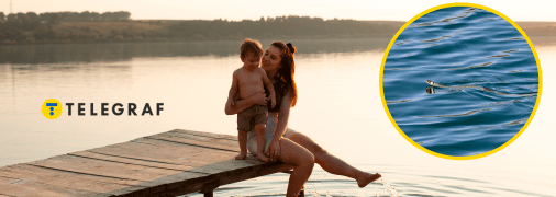 Змії дуже лякають під час відпочинку на водоймах