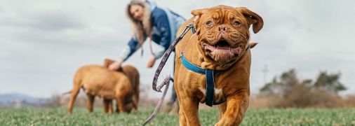 Фото: pixabay.com