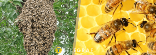 Це природній процес