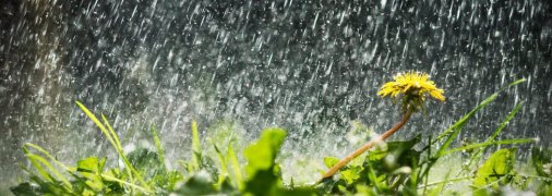 Прогноз погоды в Украине на 24 апреля