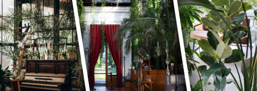 Сделали подборку заведений в Киеве, Львове, Ужгороде и Хмельницком, которые понравятся любителям растений