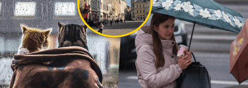 Когда понадобятся зонтики