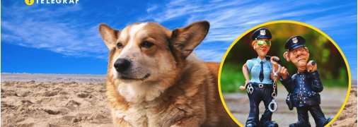 Курйоз із собакою та поліцейськими