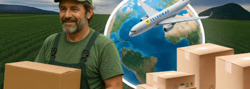 Фермеры не хотят заниматься чесноком